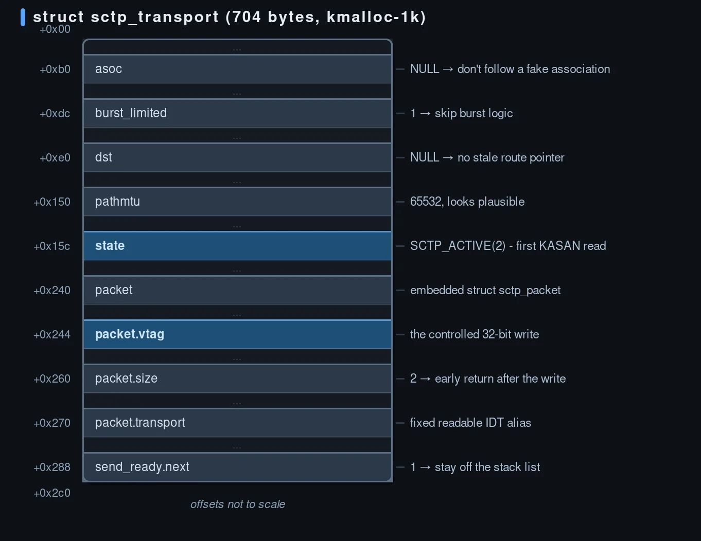 struct sctp_transport, the fields that matter